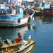 Barcos em Sesimbra