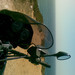 BMW R1100 GS - offroad training trip (Meco)